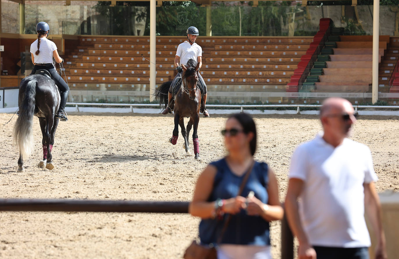 Caballerizas Reales se engalana para Cabalcor 2023, en imágenes