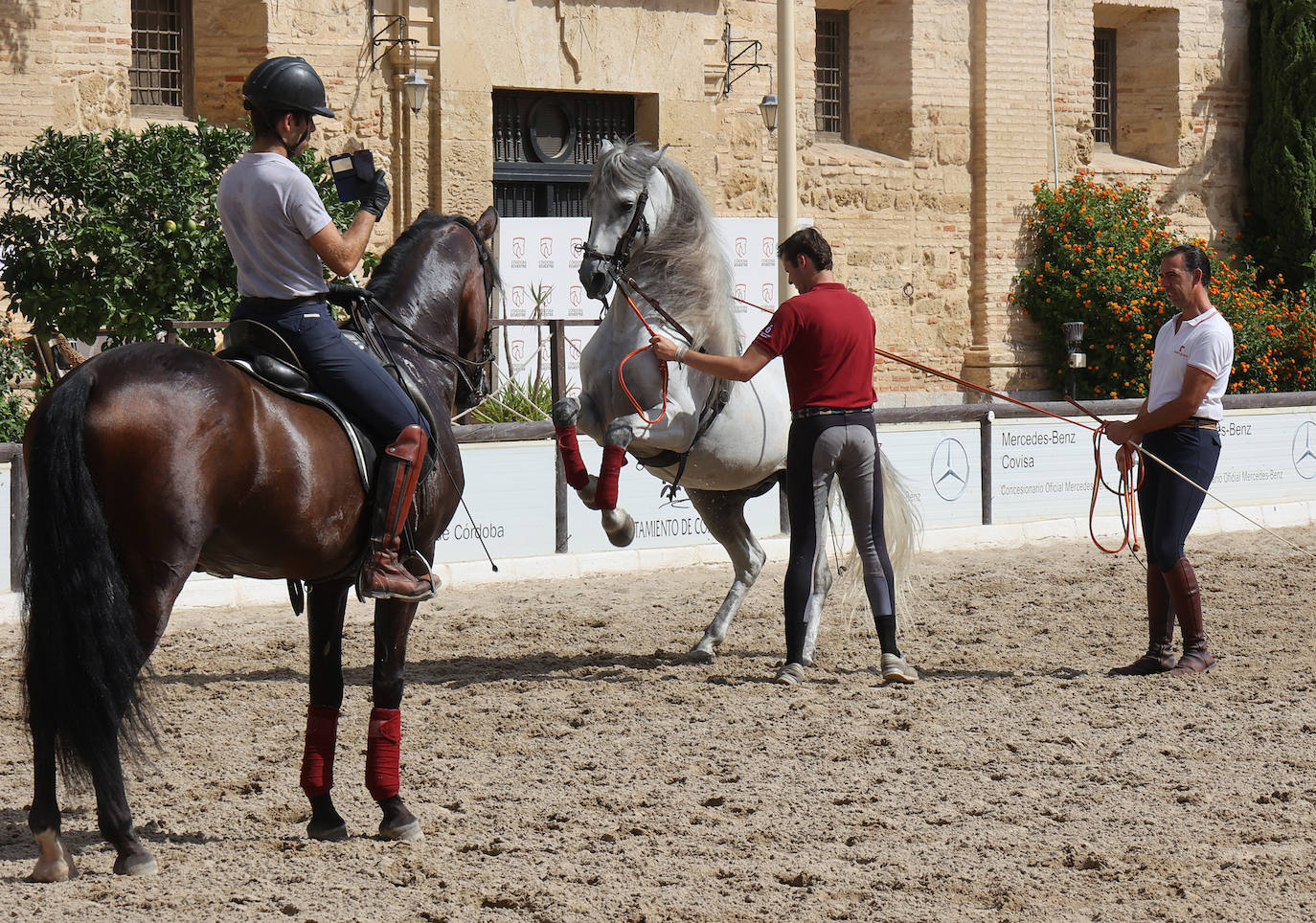 Caballerizas Reales se engalana para Cabalcor 2023, en imágenes