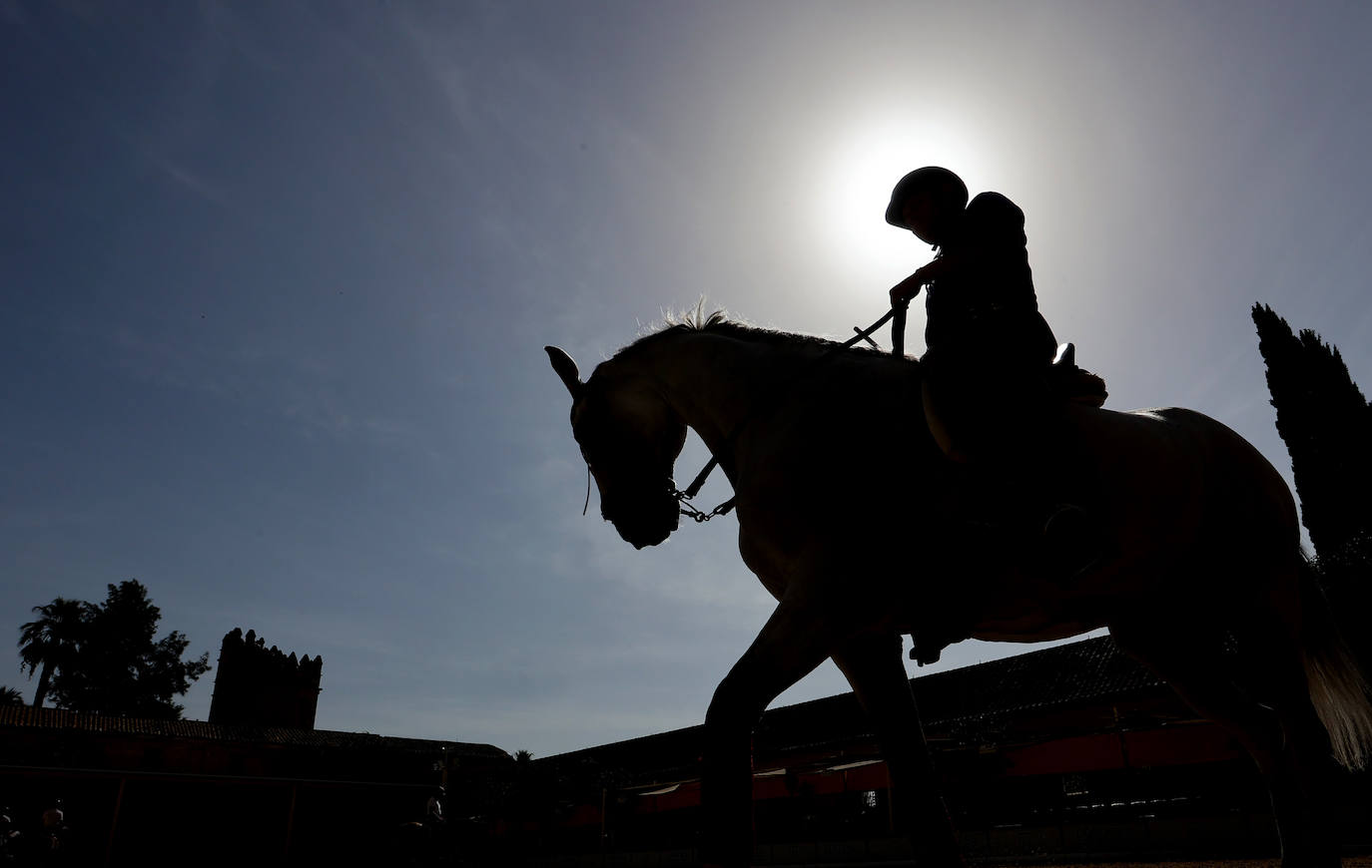 Caballerizas Reales se engalana para Cabalcor 2023, en imágenes