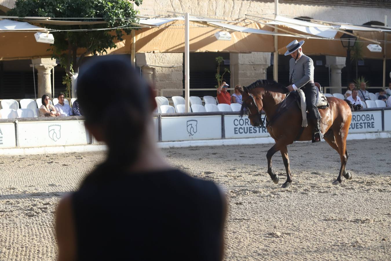 La Copa de España de Doma Vaquera en Córdoba