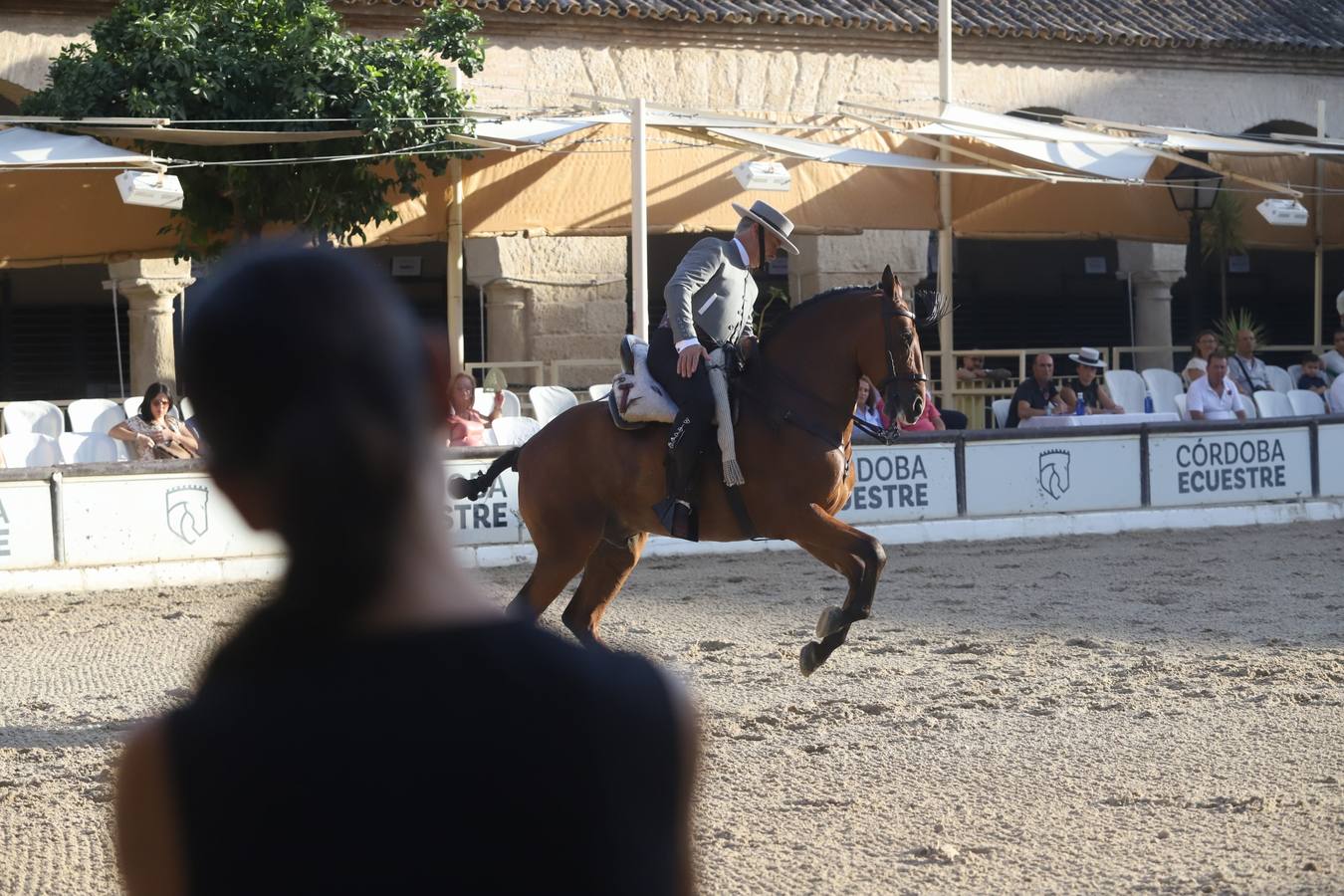 La Copa de España de Doma Vaquera en Córdoba