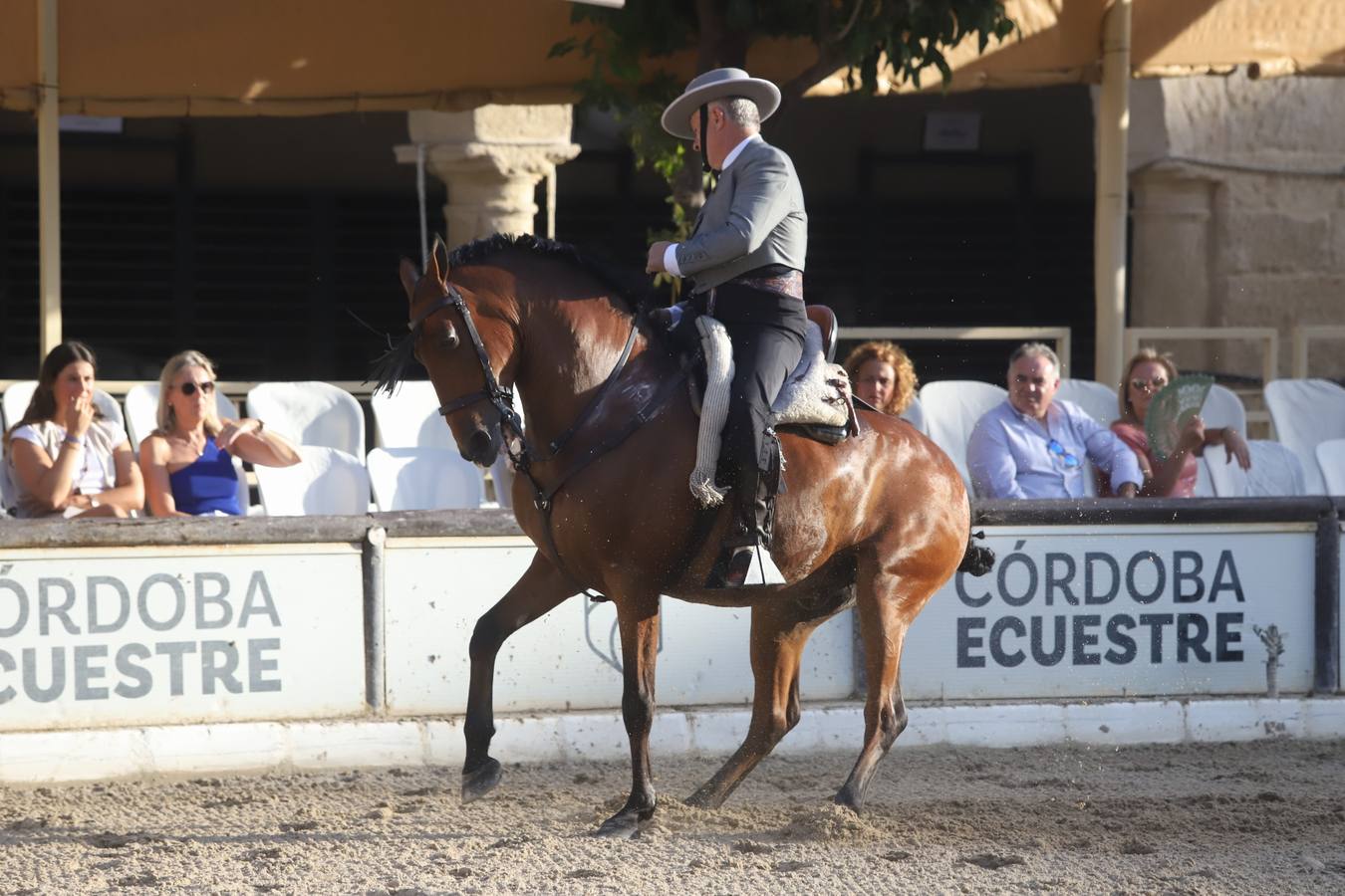 La Copa de España de Doma Vaquera en Córdoba