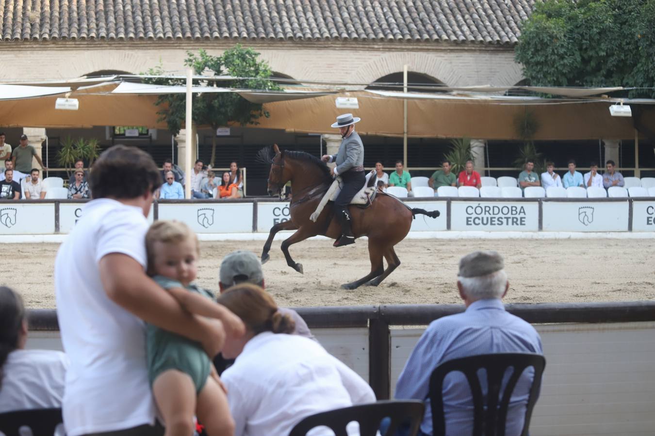 La Copa de España de Doma Vaquera en Córdoba