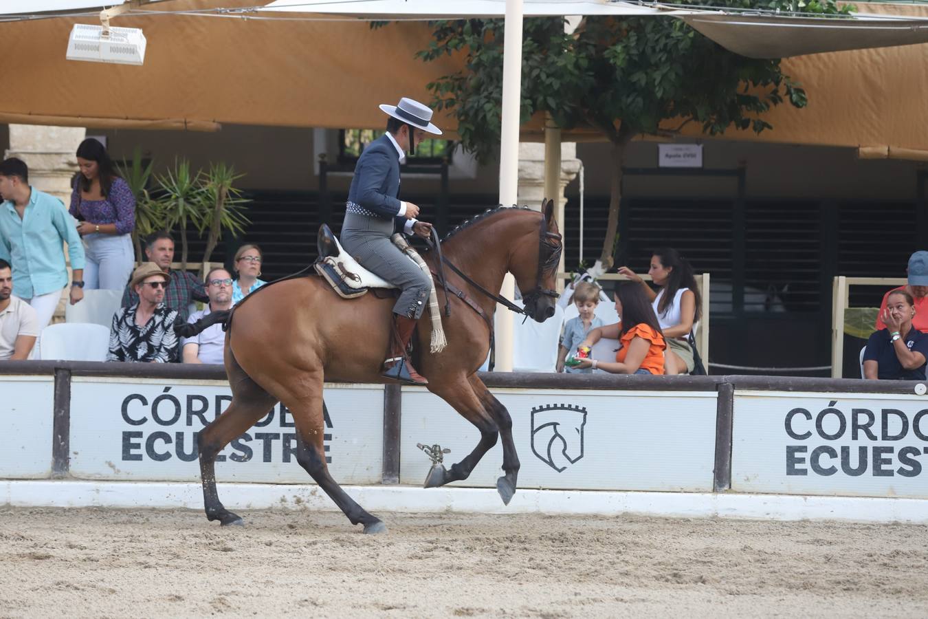 La Copa de España de Doma Vaquera en Córdoba