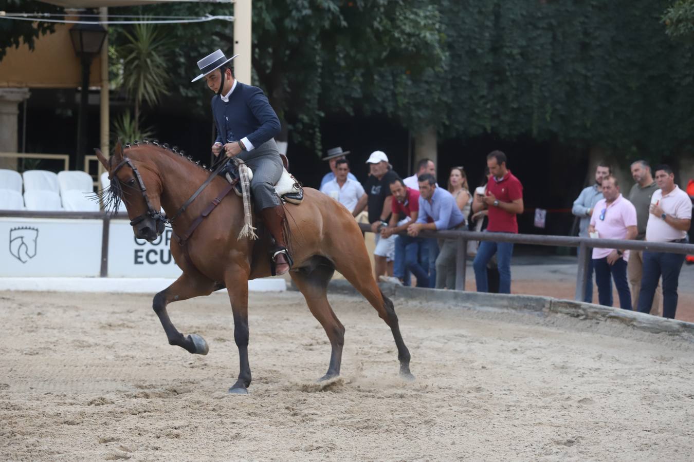 La Copa de España de Doma Vaquera en Córdoba