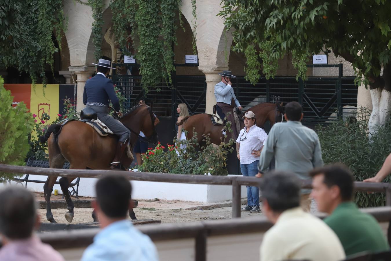 La Copa de España de Doma Vaquera en Córdoba