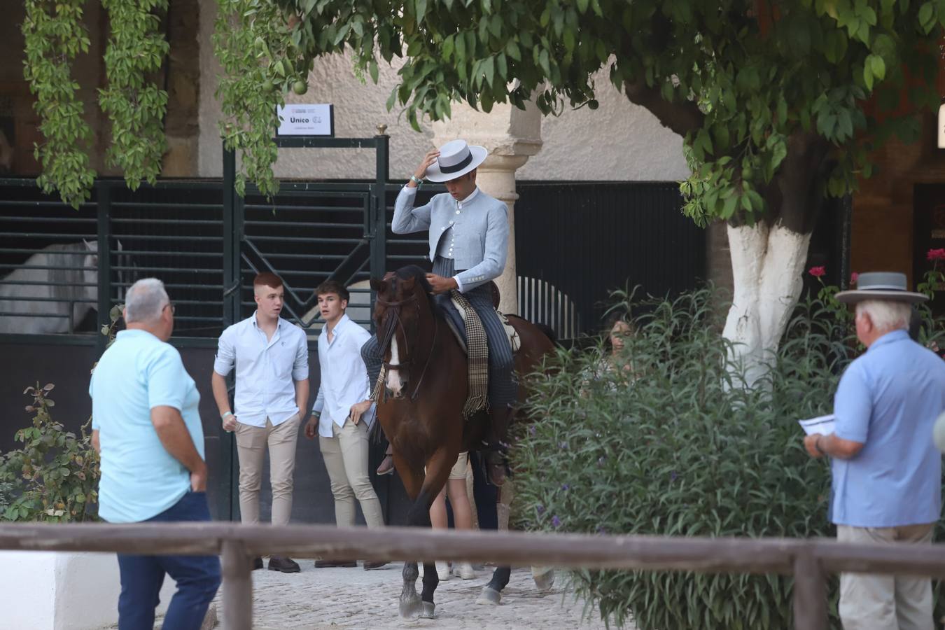 La Copa de España de Doma Vaquera en Córdoba