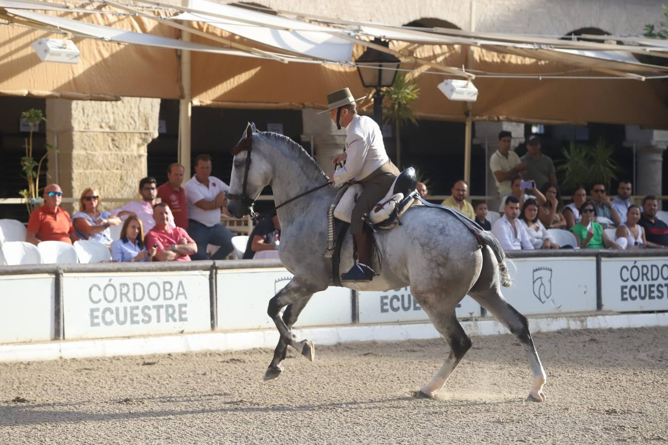 La Copa de España de Doma Vaquera en Córdoba