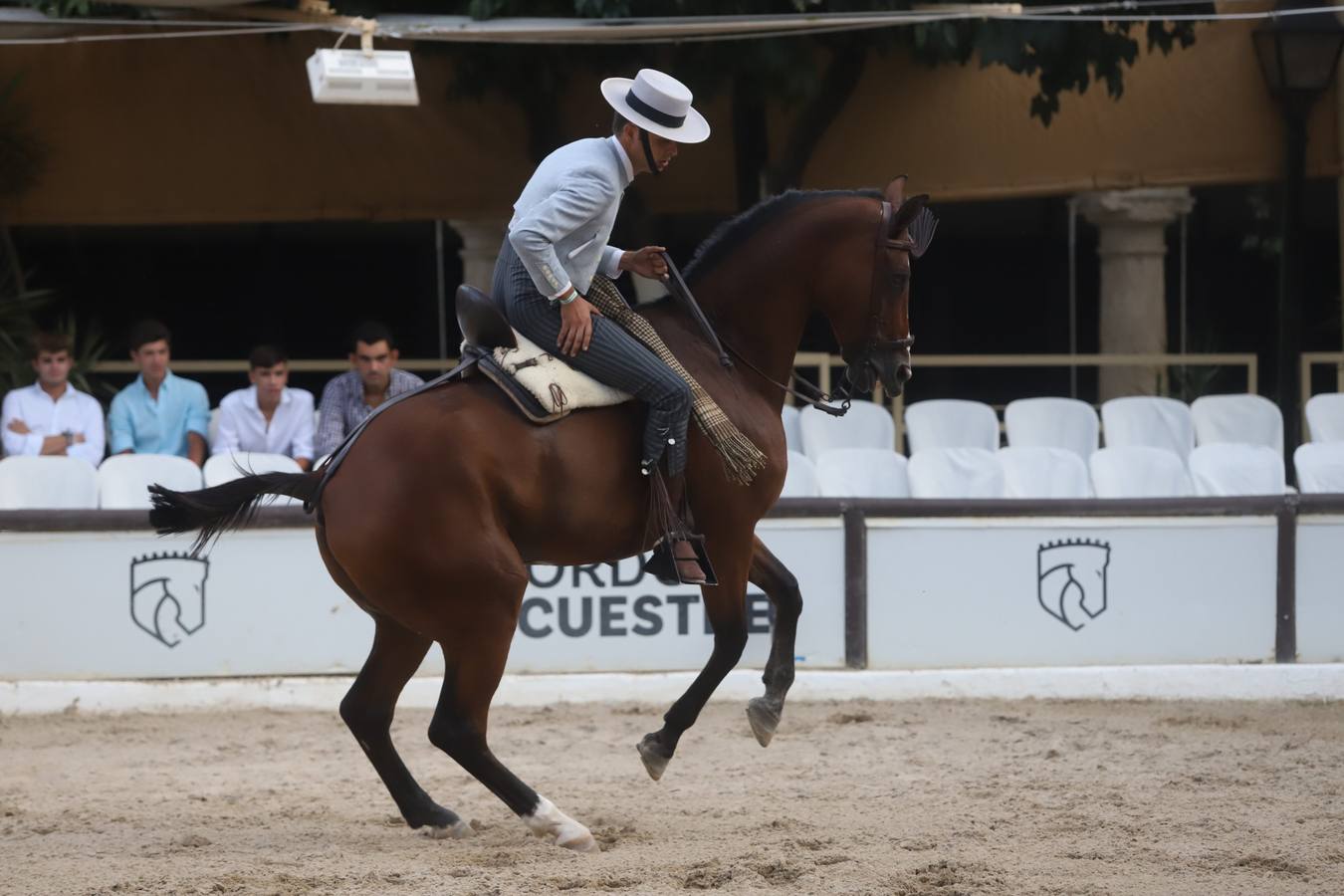 La Copa de España de Doma Vaquera en Córdoba