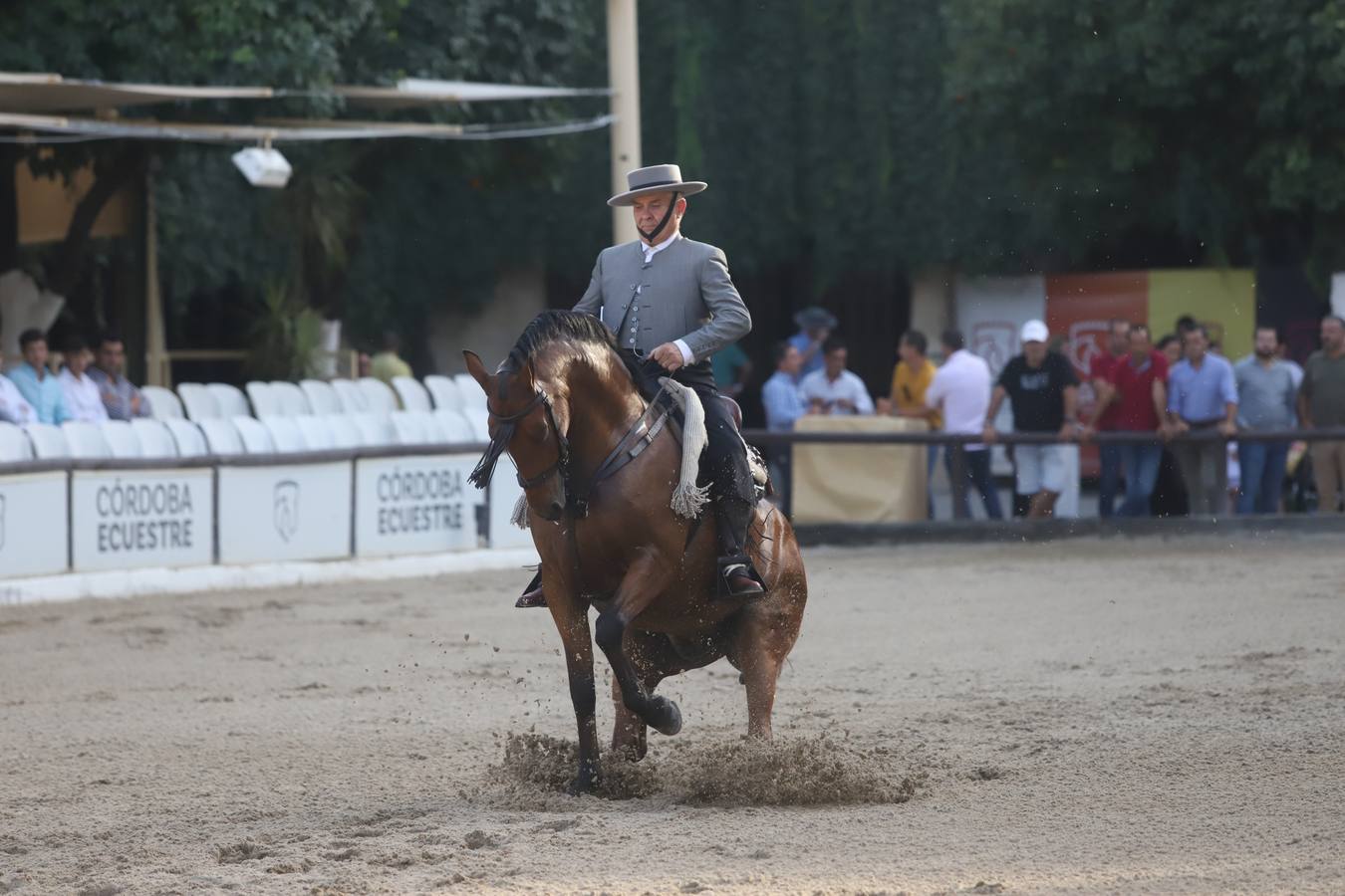 La Copa de España de Doma Vaquera en Córdoba