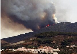 Municipios afectados por el incendio la sierra granadina de Los Guájares piden inversiones en infraestructuras