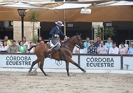 La doma vaquera atrae a Caballerizas Reales a los mejores jinetes de España