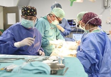 Los trasplantes crecen en el Hospital Reina Sofía de Córdoba, que realiza uno de cada cuatro en Andalucía
