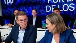 El PP lanza «un gran acto» en Madrid contra la amnistía tres días antes de la investidura de Feijóo