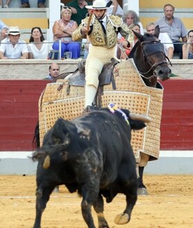 Imagen secundaria 2 - Mejor peón, el novillo Campiñeso y mejor picador