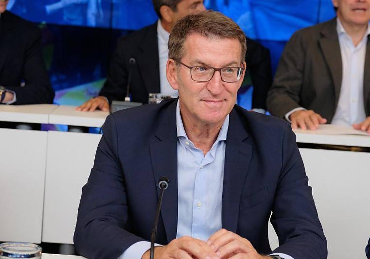 El presidente del PP, Alberto Núñez Feijóo