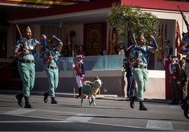 Defensa mueve el desfile del 12 de Octubre a una zona 'antiabucheos'