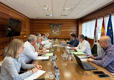 Castilla y León presentará alegaciones en Europa para flexibilizar la protección de lobo