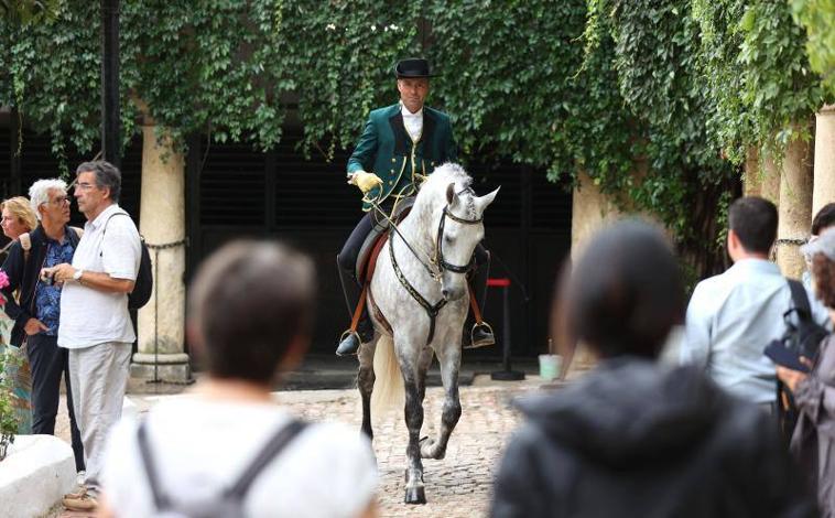 Imagen principal - La elegancia de los Pura Raza se impone a la lluvia en la Feria del Caballo de Córdoba