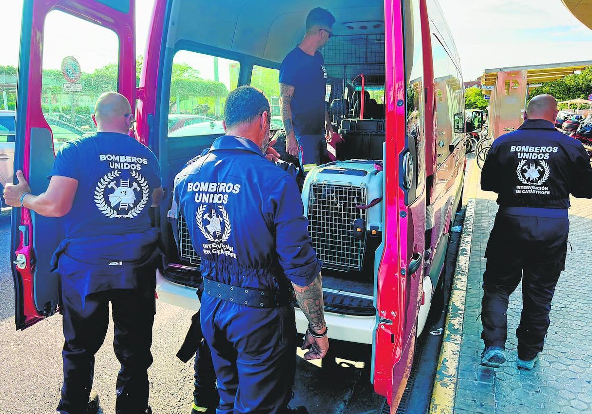 Bomberos andaluces participan en las labores de rescate del terremoto de Marruecos