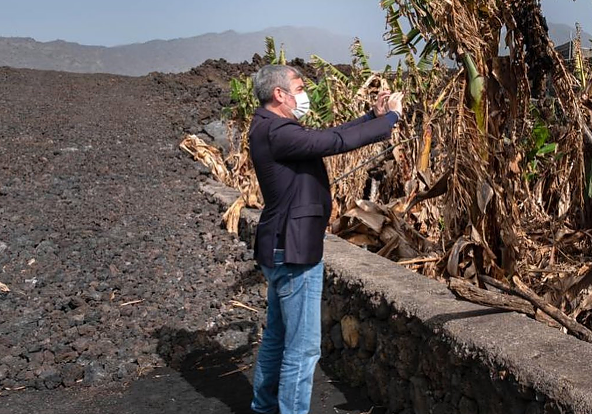 Fernando Clavijo le saca una foto a un cultivo de plataneros arrasado por el volcán en febrero de 2022