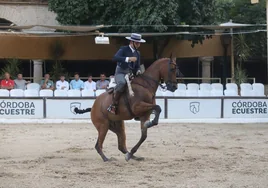 El emotivo mensaje de Antonio Orozco al jinete que hizo bailar a su caballo en Córdoba al son de 'Mi héroe'