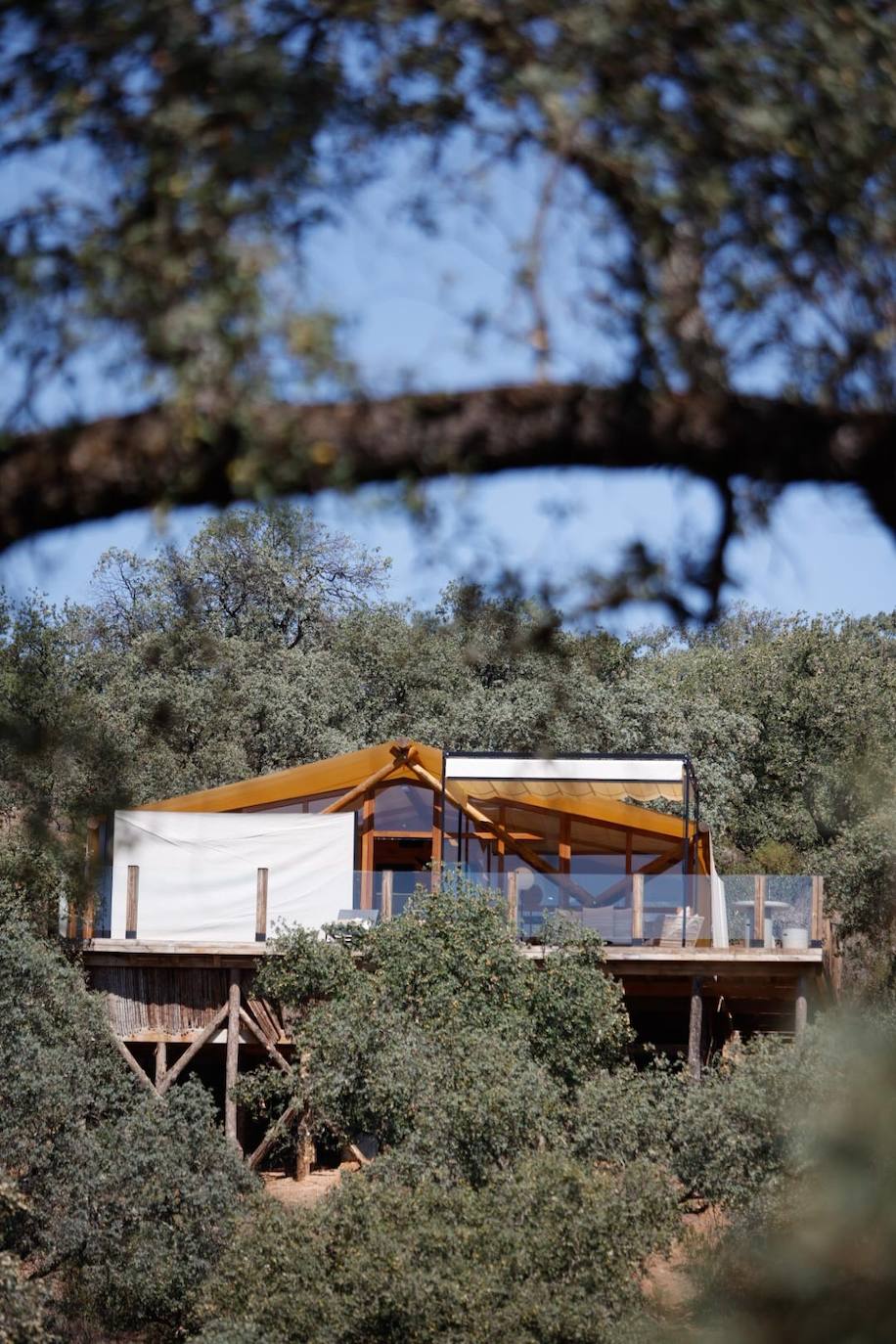 Las lujosas suites del glamping de lujo en Adamuz, en imágenes