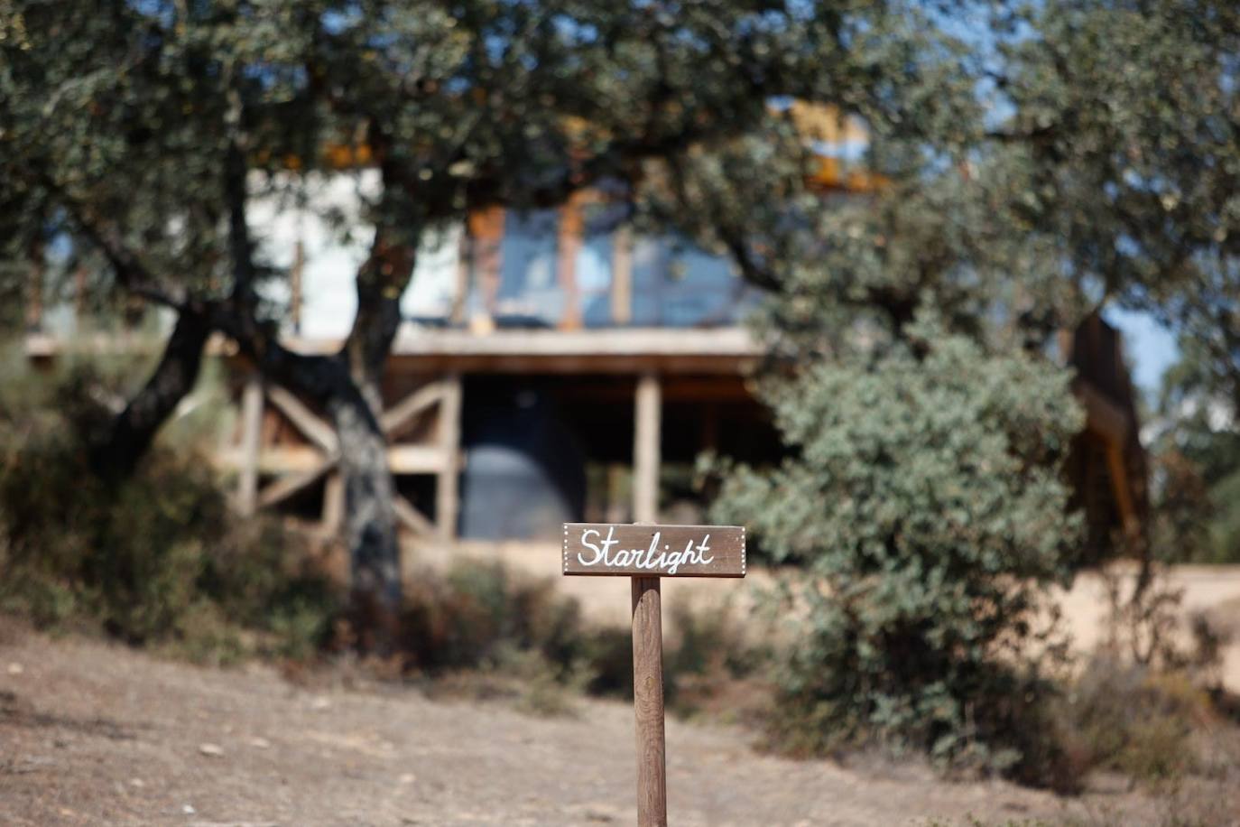 Las lujosas suites del glamping de lujo en Adamuz, en imágenes