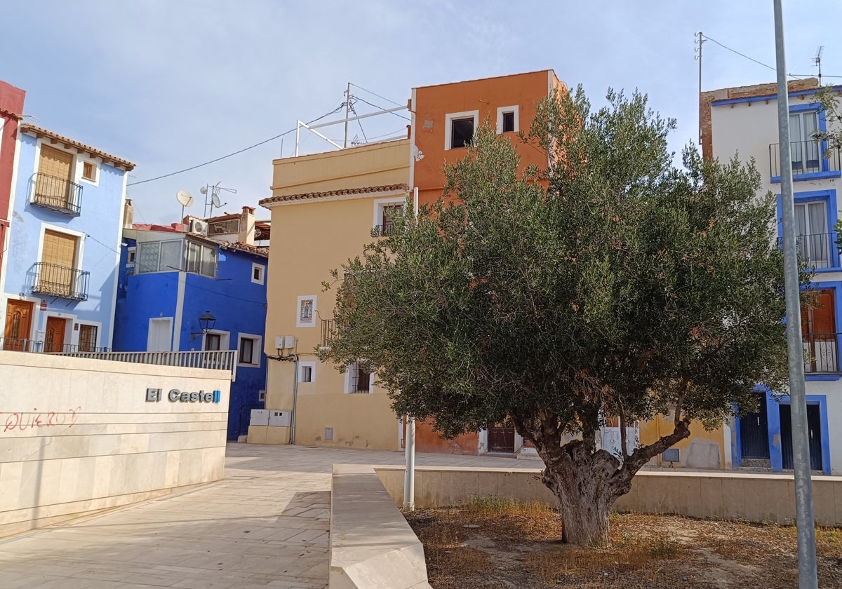 Un olivo en una plaza de Villajoyosa, junto a viviendas con las fachadas de vivos colores, tan icónicas del municipio.