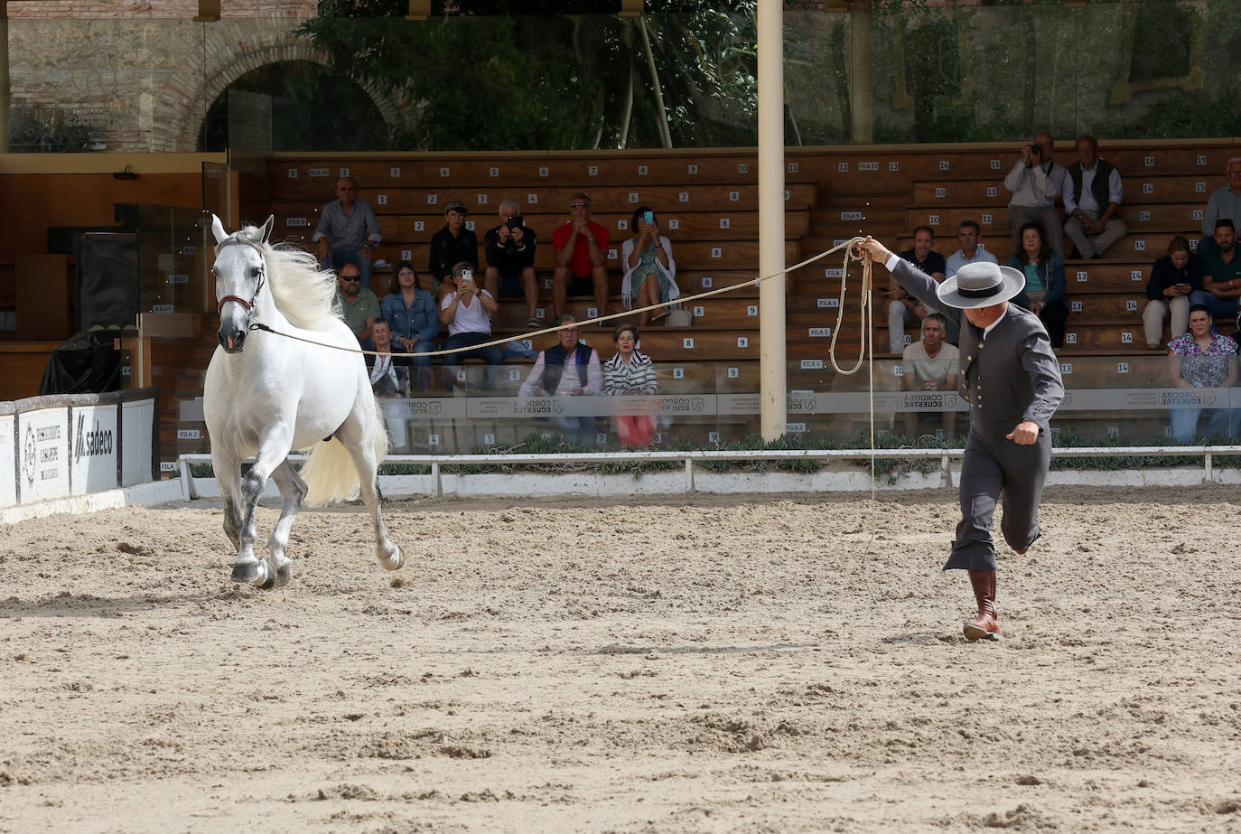 Fotos: El Concurso Morfológico de Cabalcor en Córdoba