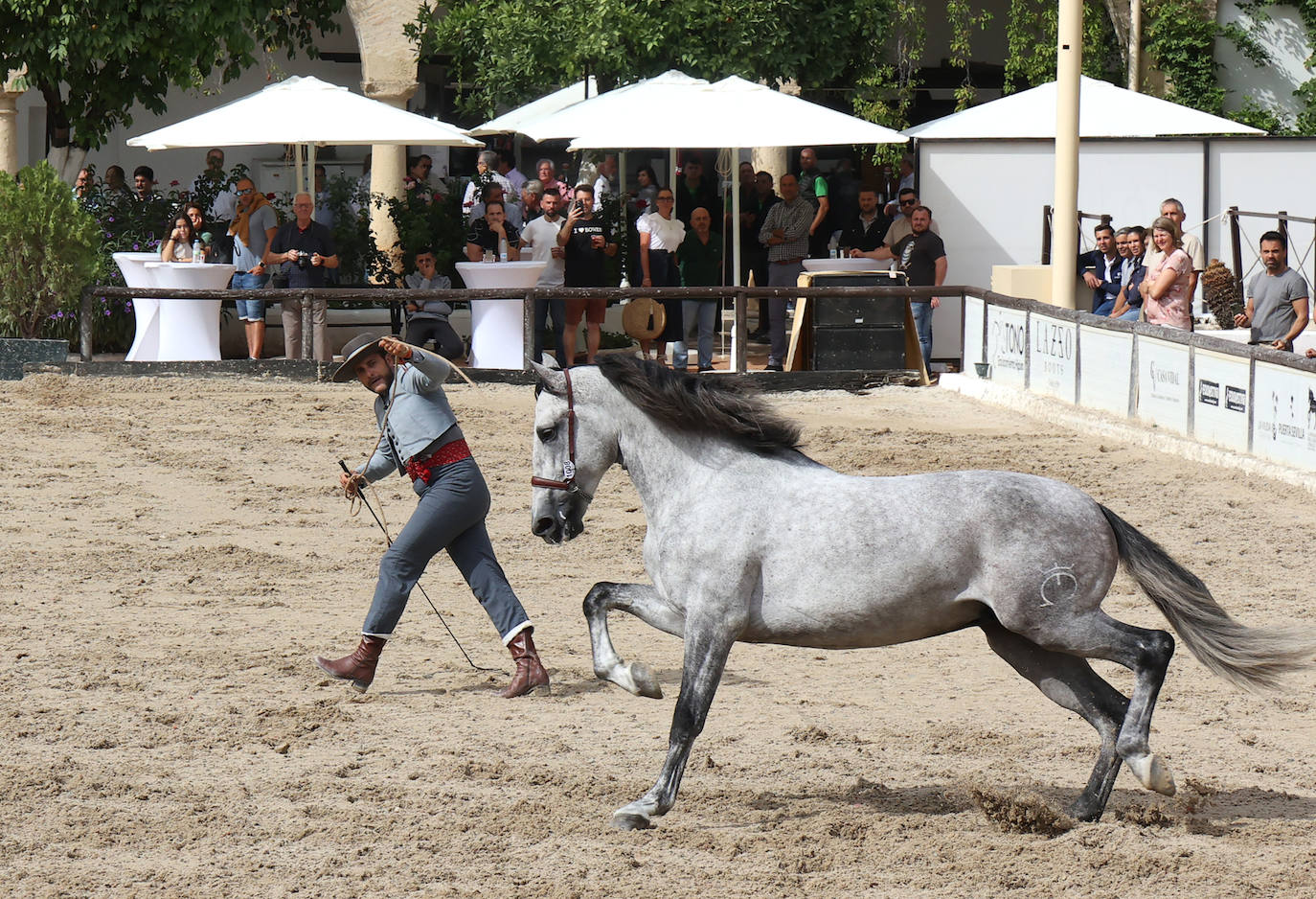 Fotos: El Concurso Morfológico de Cabalcor en Córdoba