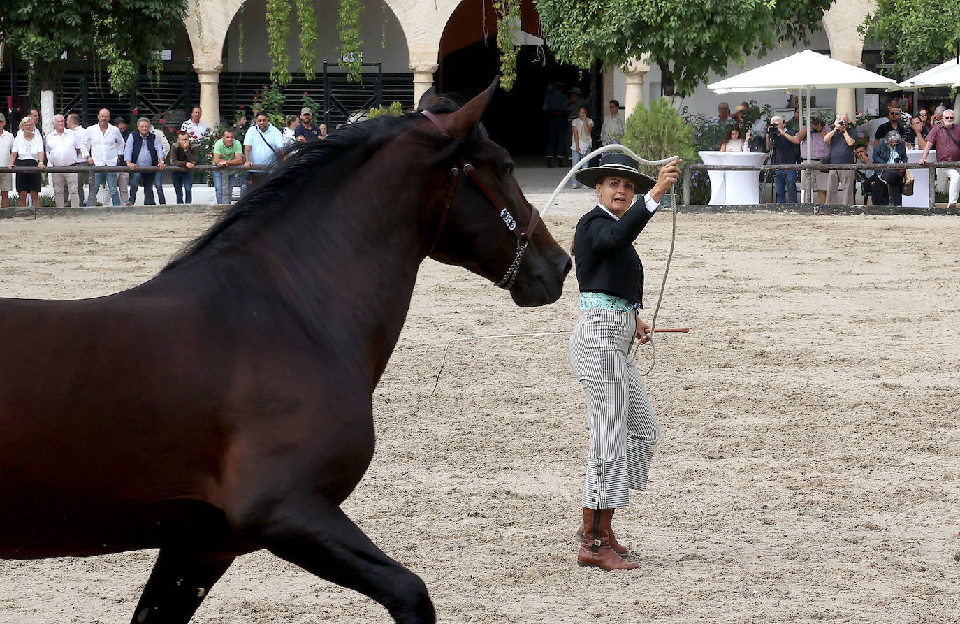 Fotos: El Concurso Morfológico de Cabalcor en Córdoba