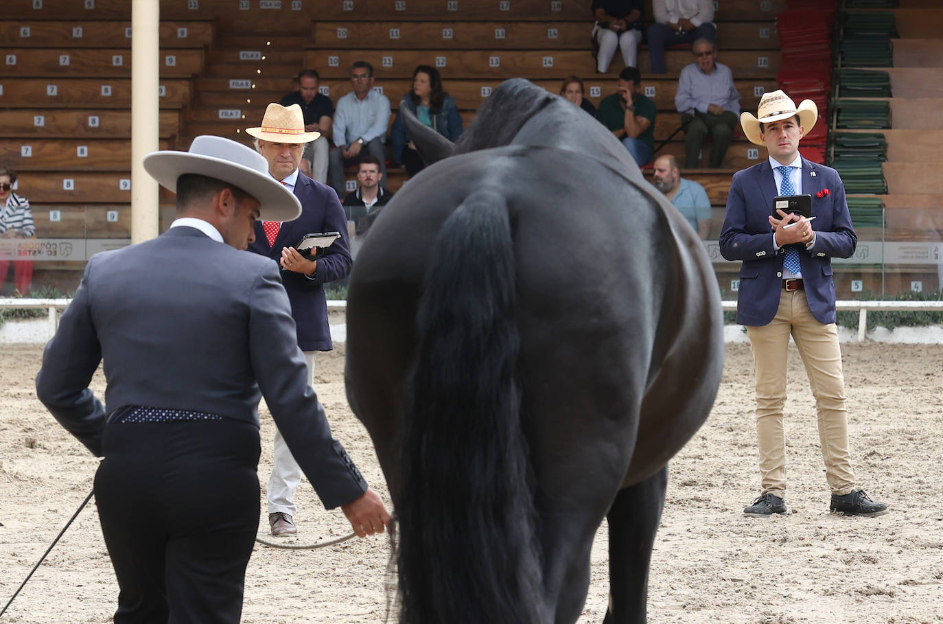 Fotos: El Concurso Morfológico de Cabalcor en Córdoba