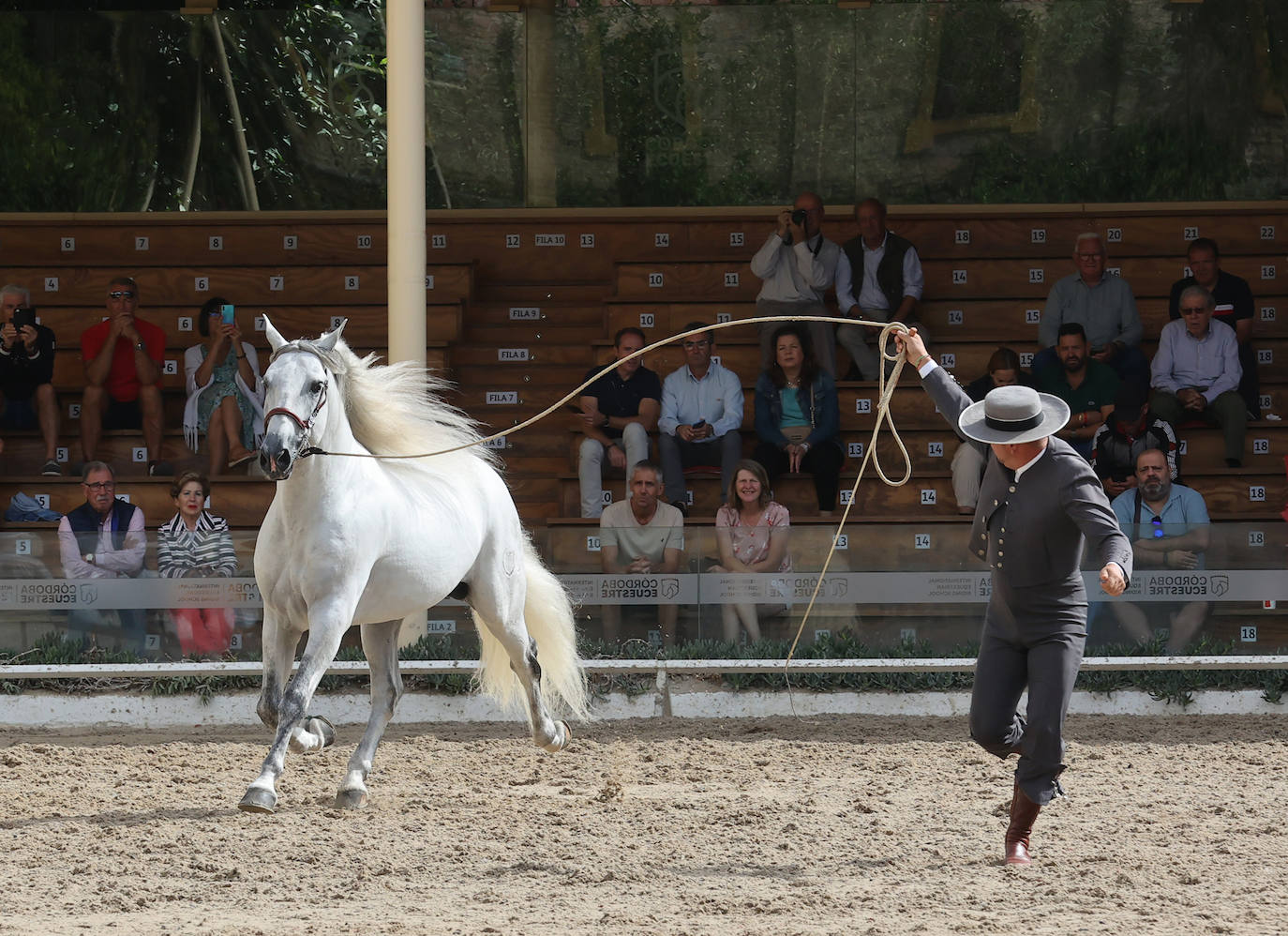 Fotos: El Concurso Morfológico de Cabalcor en Córdoba