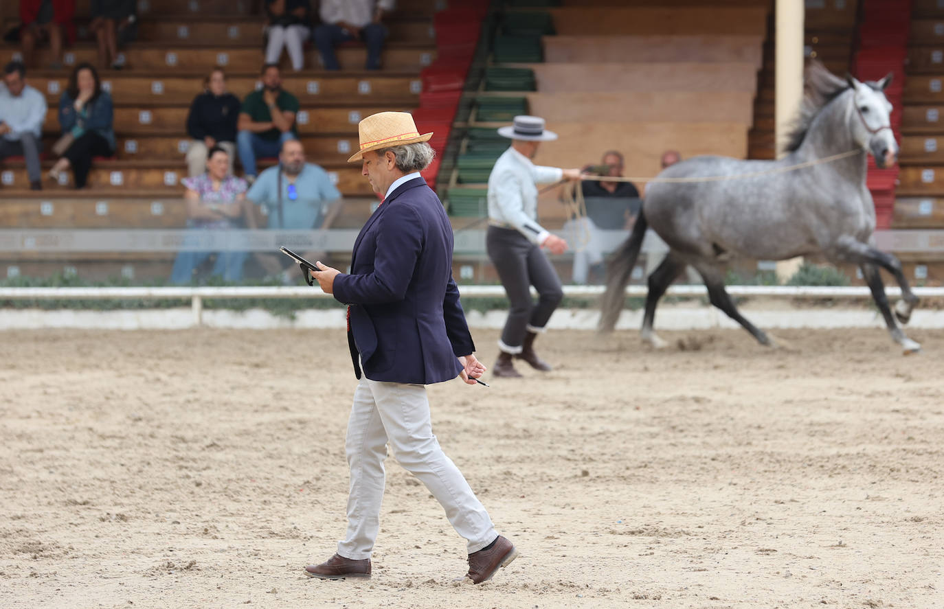 Fotos: El Concurso Morfológico de Cabalcor en Córdoba