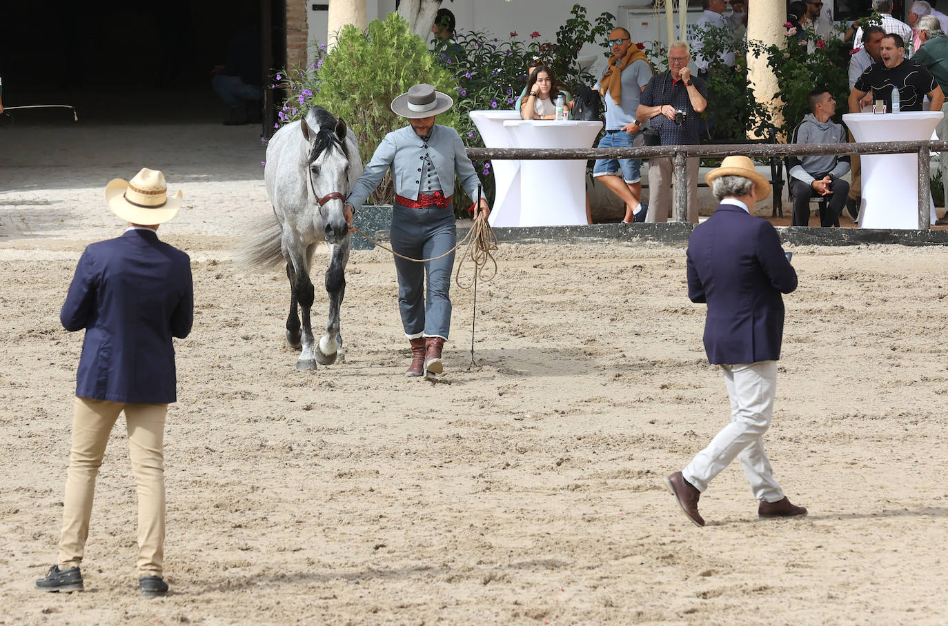 Fotos: El Concurso Morfológico de Cabalcor en Córdoba