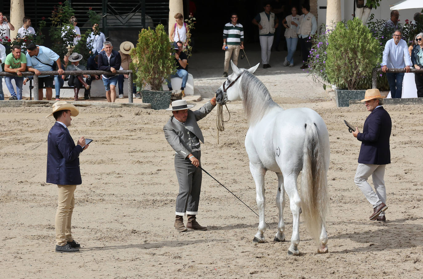 Fotos: El Concurso Morfológico de Cabalcor en Córdoba