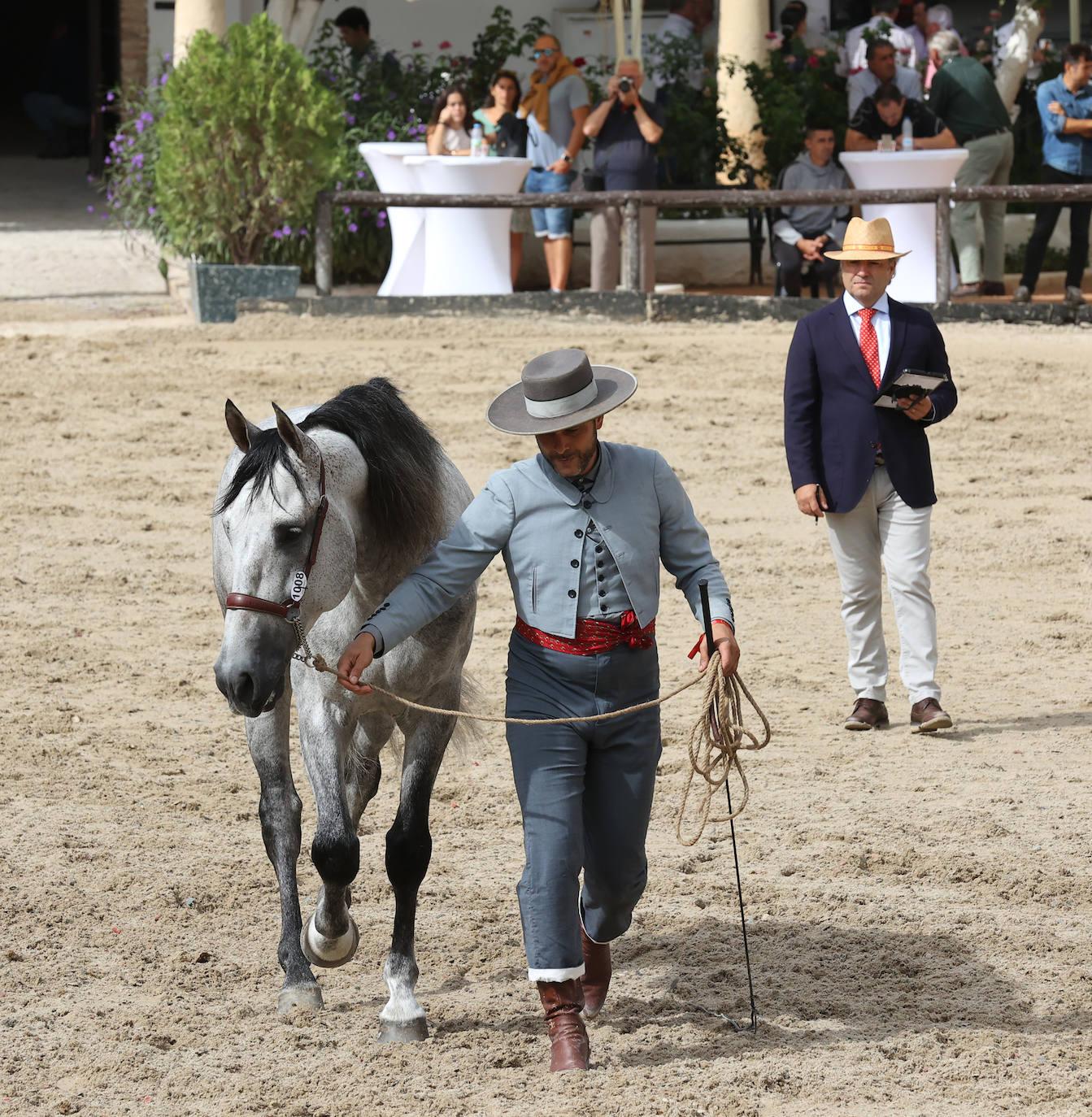 Fotos: El Concurso Morfológico de Cabalcor en Córdoba