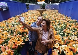 Festival Flora de Córdoba 2023: cuándo es, artistas concursantes, sedes y programación