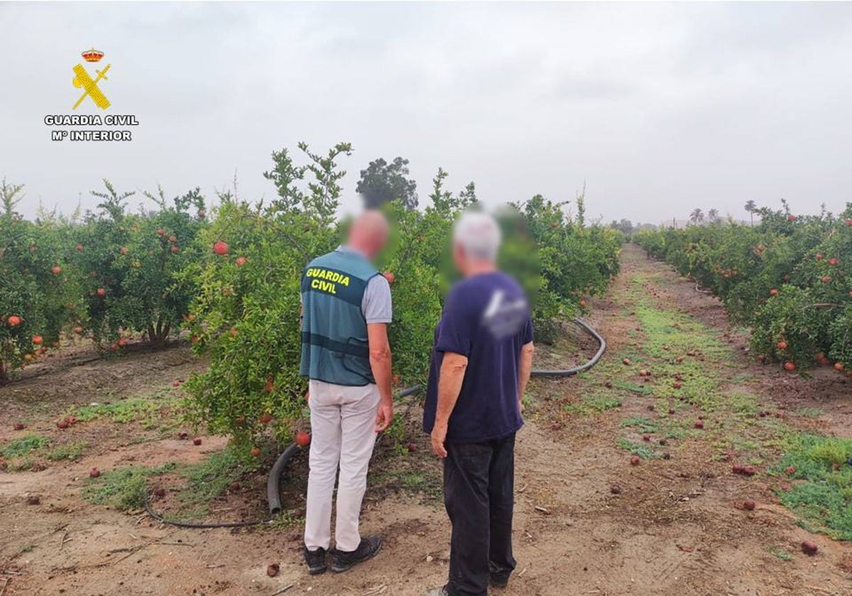 Imagen de la Guardia Civil junto a uno de los legítimos propietarios en el campo de granadas