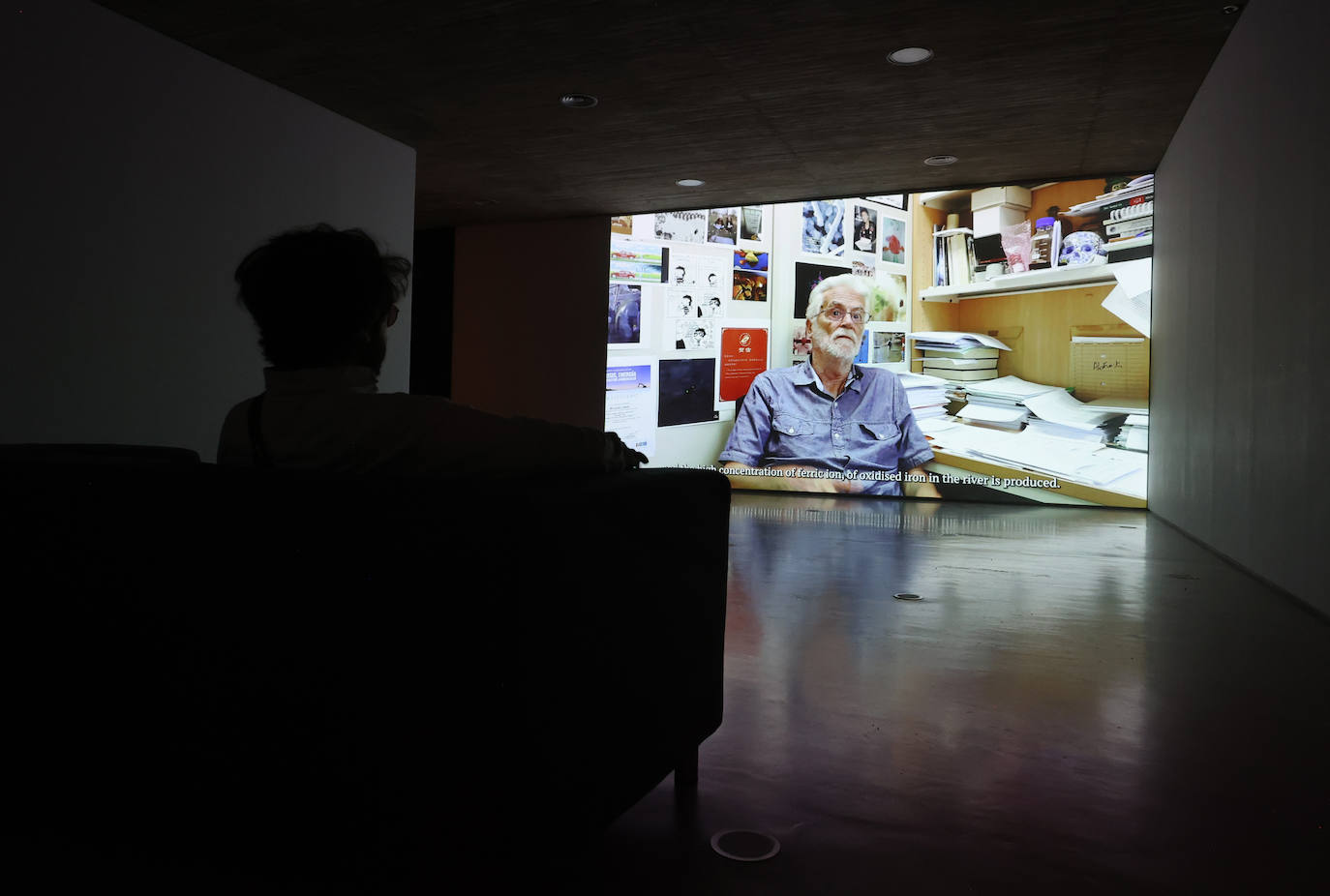 Fotos: La renovada exposición &#039;Remedios&#039;, en el C3A de Córdoba