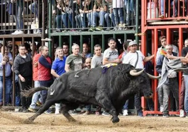 Imagen de archivo de una celebración del 'bous al carrer' en la localidad valenciana de Onda.