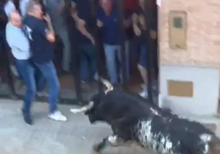 Imagen captada por un testigo de los momentos previos a la follada durante un festejo taurino en la Pobla de Farnals (Valencia)