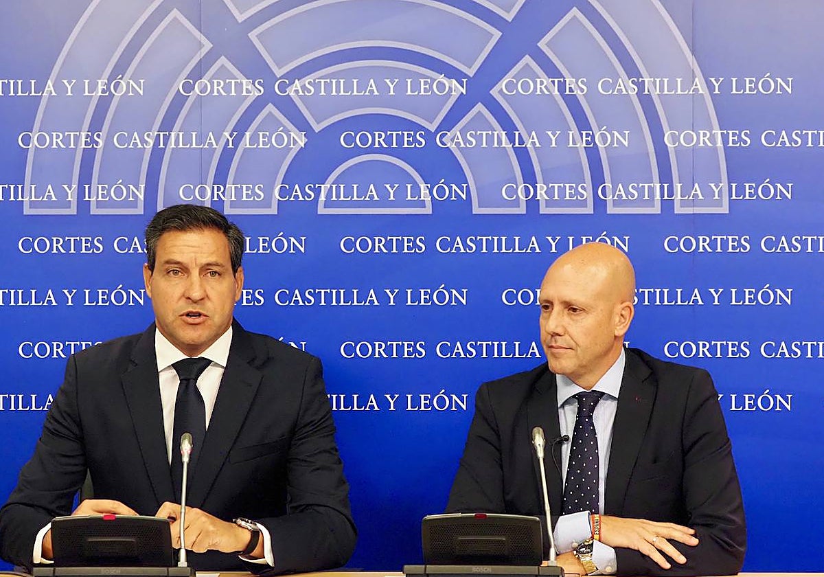 Los portavoces de los grupos parlamentarios Popular y Vox, Raúl de la Hoz y Carlos Menéndez, respectivamente