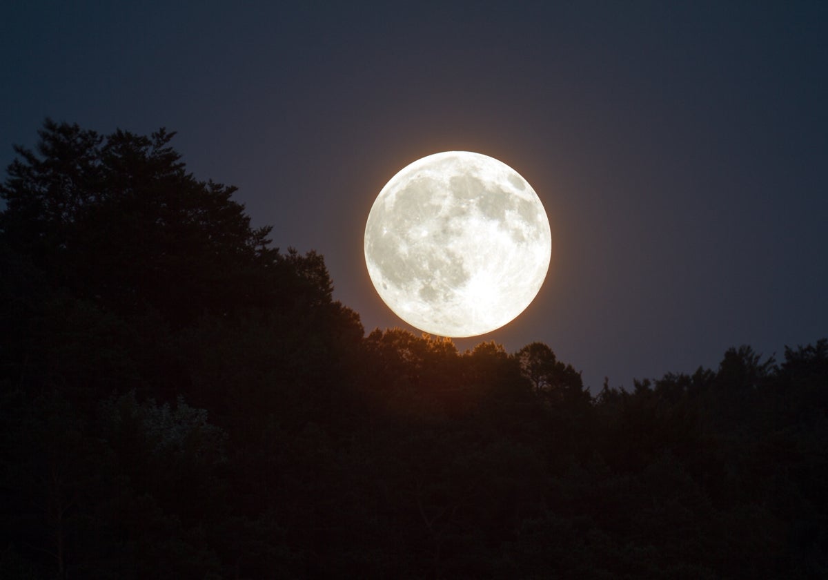 Luna de cosecha