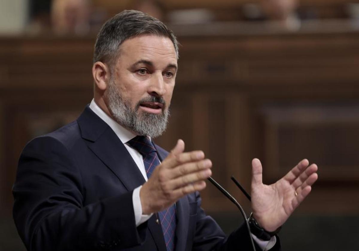 Abascal cambia su declaración de bienes del Congreso para incluir 18.000 euros que cobra por presidir el grupo de Vox