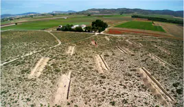 Científicos descubren un campo de dunas de la Edad del Hielo datado hace más de 15.000 años en Villena