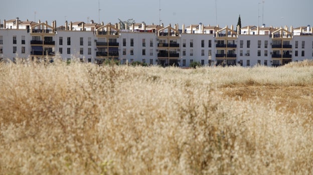 Suelos del futuro barrio de Huerta de Santa isabel Oeste, con las viviendas de Miralbaida al fondo