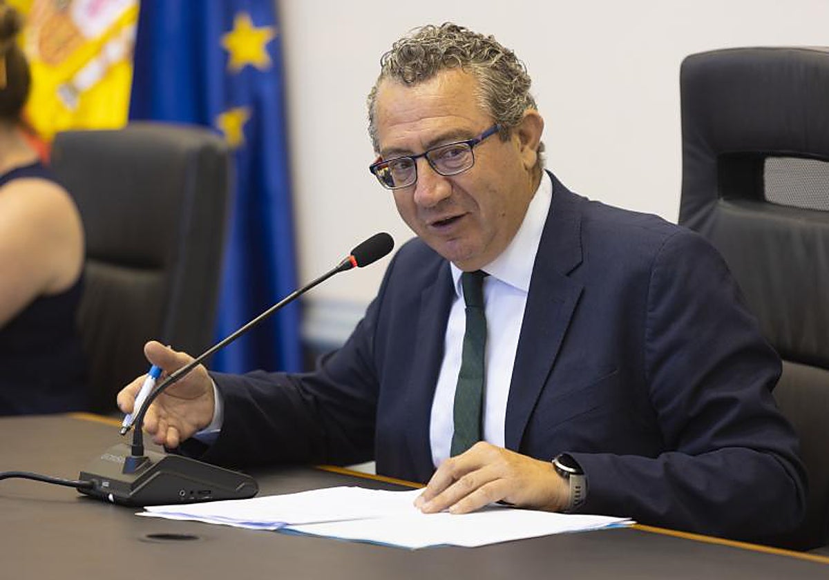 El presidente de la Diputación de Alicante, Toni Pérez.