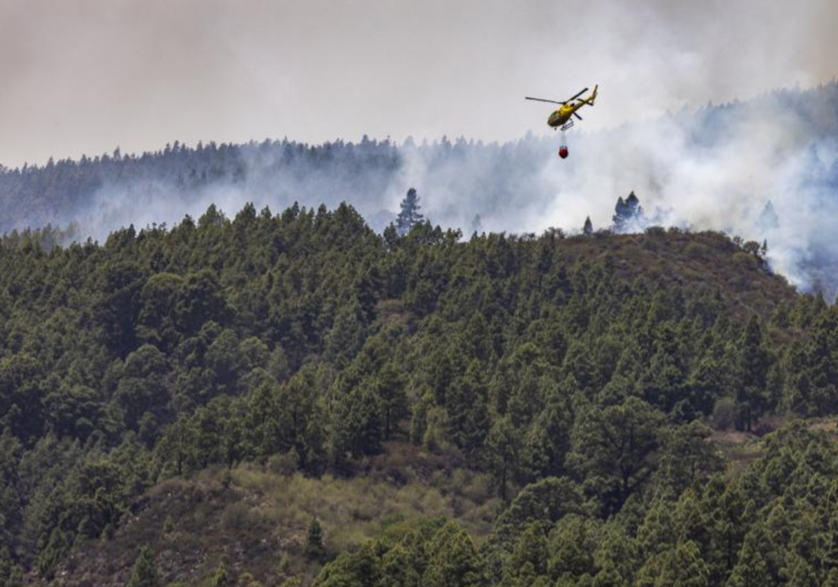 Un helicóptero combate el fuego del incendio entre Arafo y Candelaria el pasado mes de agosto